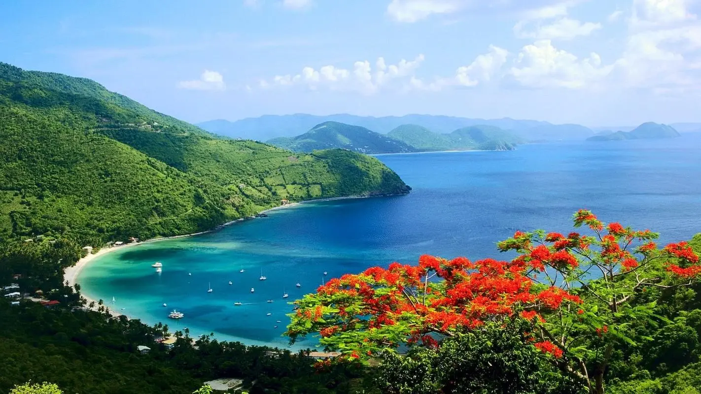 绿色高性能高端